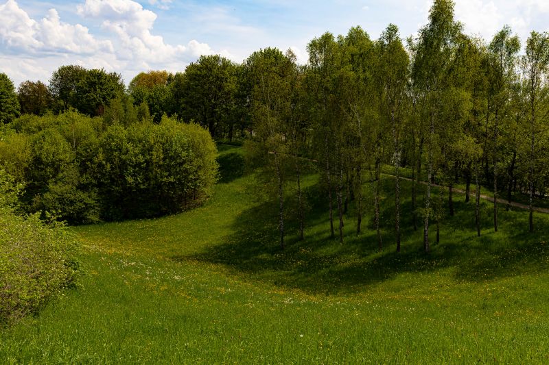 Hill Clearing in Katy, TX