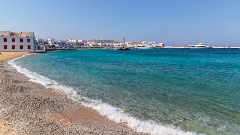 Lakefront Property Clearing in Houston, TX