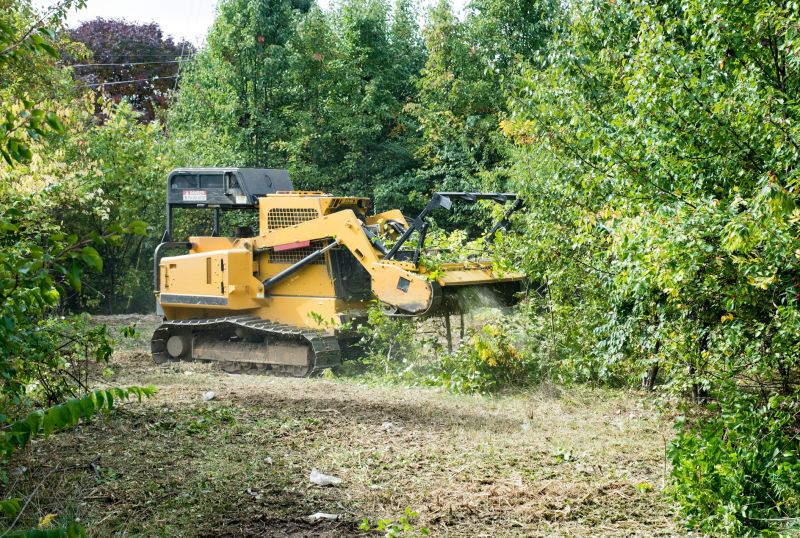 Property Line Clearing in Houston, TX