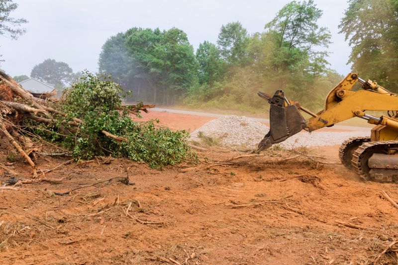 Site Clearing Service in Marietta, GA