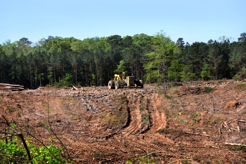 Site Clearing Service in Atlanta, GA